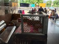 14 राज्यों में आरटी-पीसीआर रिपोर्ट लाना जरूरी नहीं, लेकिन राजस्थान में महज औपचारिकता रोक रही पर्यटक|जयपुर,Jaipur - Dainik Bhaskar