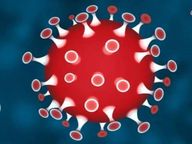 दूसरी लहर का रिवर्स गियर; जनवरी के बाद पहली बार सिर्फ 2 रोगी|बीकानेर,Bikaner - Dainik Bhaskar