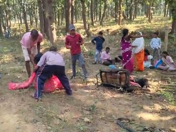 मनेंद्रगढ़-चिरमिरी-भरतपुर में बस पेड़ से टकराई। 5 लोगों की मौत। - Dainik Bhaskar