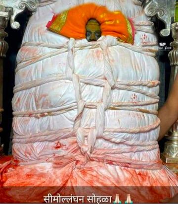 Yalangoch latinalar külotsiz