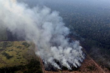 Amazon's forest endurance is declining, three-quarters of it will  automatically burn | બ્રિટિશ વૈજ્ઞાનિકોની ચેતાવણી: એમેઝોનના જંગલની સહનશક્તિ  નષ્ટ થઈ રહી છે, તેનો ત્રણ-ચતુર્થાંશ ભાગ આપોઆપ બળી જશે | Divya Bhaskar
