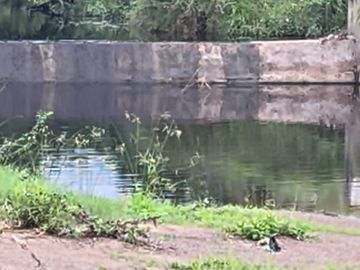 Dharmendrasinh Vaghela Targets Industrial Units Over Vishwamitri Pollution