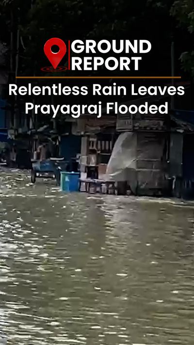 6,000 families forced to live on rooftops in Prayagraj as incessant rain floods homes and disrupts meals.