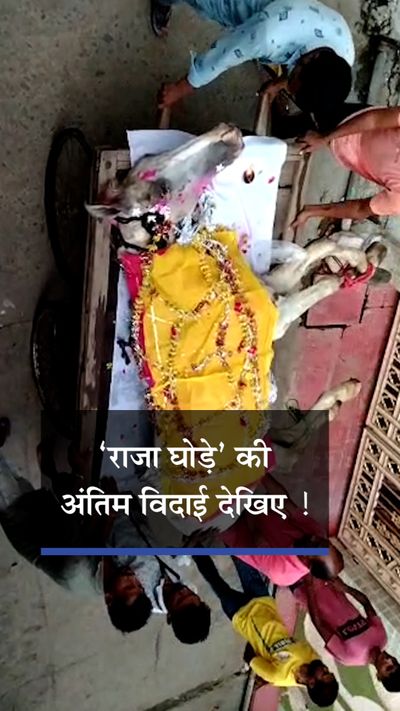 Video Of Chhattisgarh Man Performs Last Rites Of His Horse In