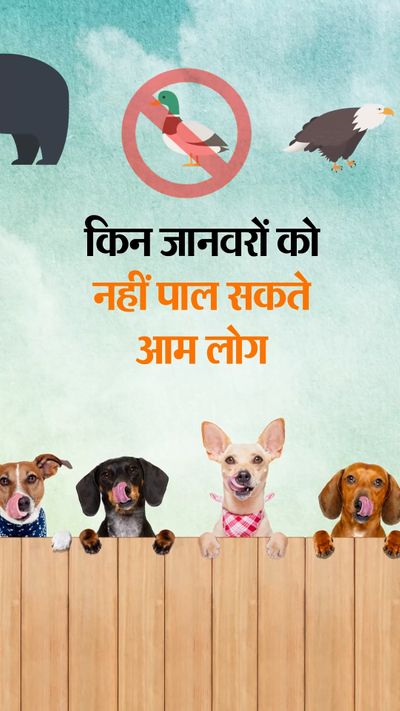 UP Arif Khan Saras Case; Indian Animal Protection Laws Explained