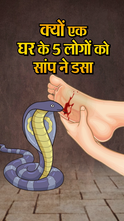 Badla Nagin Ka Naag Ka Badla Anim Stories Nagin Nagin Ke Cartoon