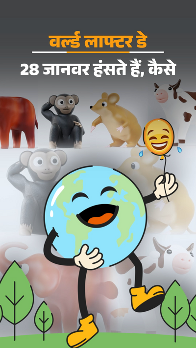 सौ चूहे खाकर बिल्ली हज Billi Chuha Ki Comedy