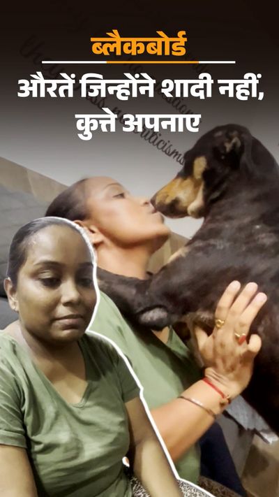 Ki Ladai Bandar Aur Kutte Ki Comedy People Of The Locality Are