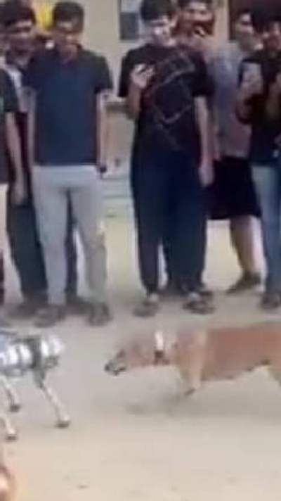 IIT Kanpur's robot dog is in the news on social mediaVIDEO IIT