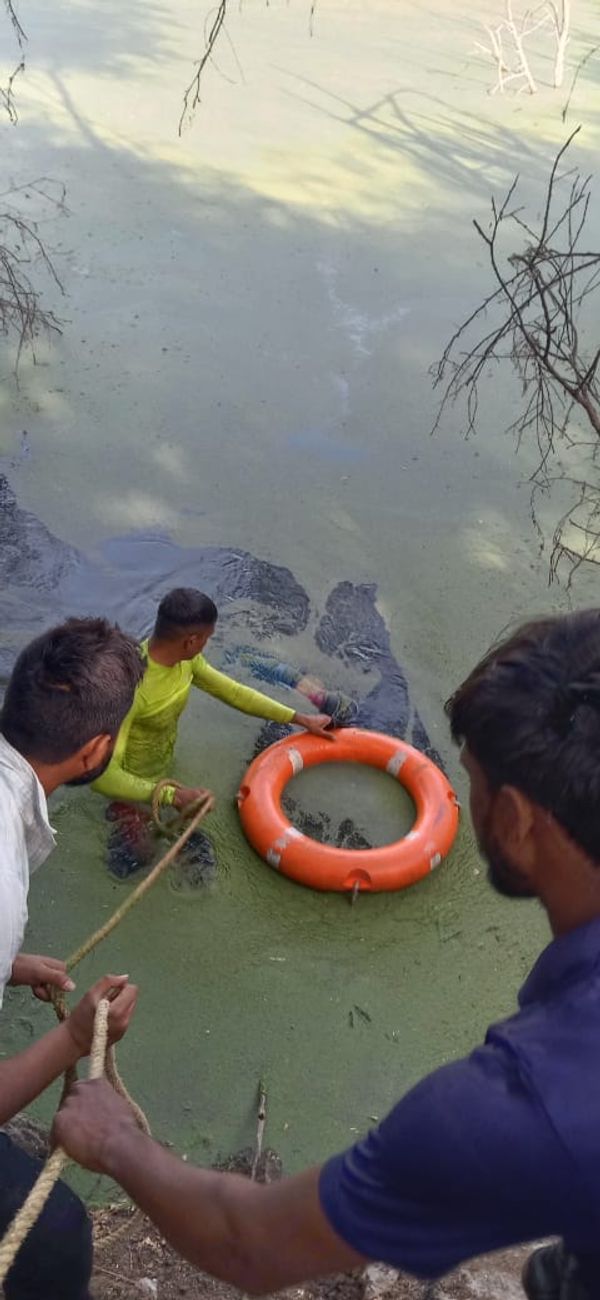 પોલીસે ફાયર બ્રિગેડને બોલાવી તળાવમાં શોધખોળ કરાવી હતી