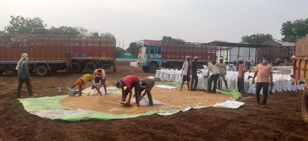 मौसम में बदलाव देख विपणन संघ ने खरीदी केंद्रों पर रखी उपज का भंडारण कराया।