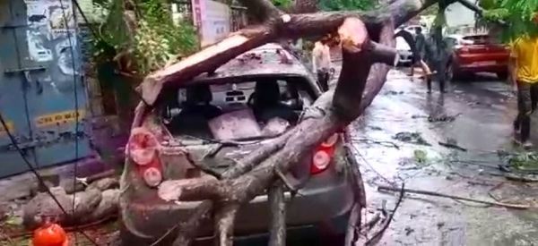 Cyclone Tauktae Latest Photos; Mumbai Rain News | Rain Warning In Maharashtra Palghar Thane And Ratnagiri Districts | तेज हवा और बारिश की वजह से पेड़ गिरे, कई गाड़ियों को नुकसान; एक शख्स की मौत 7 मुंबई के चेंबूर इलाके के एक कार पर गिरा पेड़।
