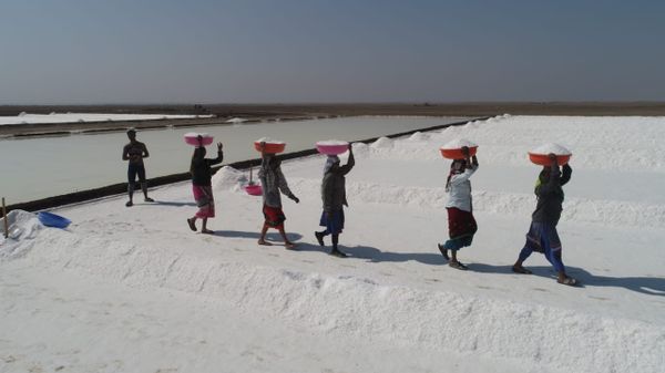 રણમાં મીઠું પકવતા અગરિયાઓ