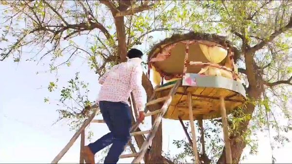 रोहिड़े पर बनाई झोपड़ी पर सीढ़ियों से चढ़ते रतन सिंह।