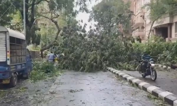 पेड़ गिरने से मार्ग अवरुद्ध