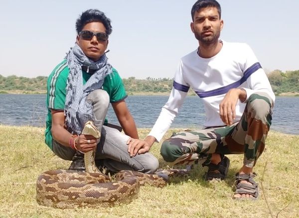 निगम के गोताखोरों ने मौके पर पहुंचकर अजगर को रेस्क्यू किया। और सुरक्षित जंगल में छोड़ा। अजगर की लंबाई 10 फीट से ज्यादा बताई गई।