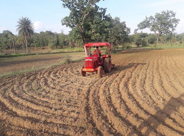 बस्तर संभाग के किसानों को रोपाई के लिए बारिश का इंतजार।