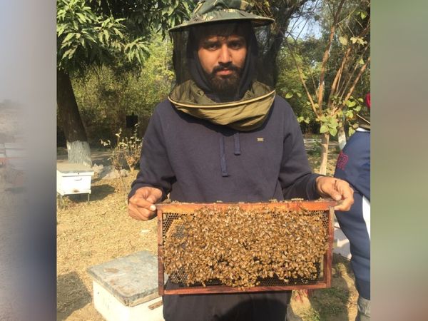 शहद का बिजनेस 10 बॉक्स के साथ शुरू किया जा सकता है। इसके लिए करीब 30 हजार रु खर्च होंगे। बाद में इनकी संख्या बढ़ाई जा सकती है।