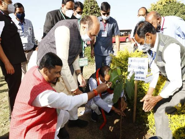 सीएम ने डुमना एयरपोर्ट परिसर में बादाम का पौधा रोपा