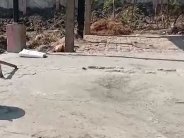 अंतिम संस्कार वाले स्थल पर झाड़ू लगी देख परिजन हुए नाराज।