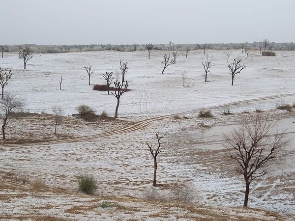 रेगिस्तान में कश्मीर जैसी बर्फबारी:राजस्थान के कई हिस्सों में बारिश, सोनलिया धोरों पर बिछी बर्फ की चादर; 11-12 को राजधानी सहित कई जिलों में बारिश के आसार