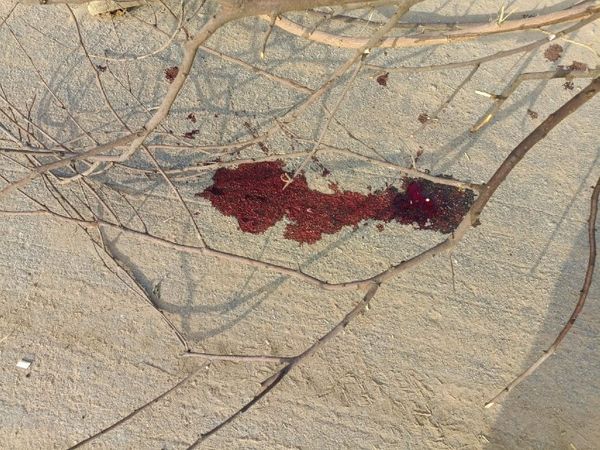 मुठभेड़ स्थल, यहां बदमाश को लगी थी गोली और स्पॉट पर पड़ा लुटेरे का खून।