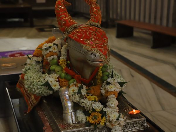 महाकाल मंदिर में नंदी को भी आकर्षक वस्त्रों से सजाया गया।
