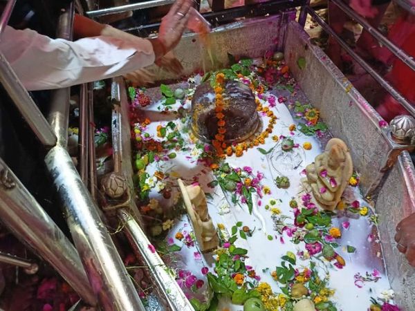 महाशिवरात्रि के अवसर पर भगवान शिवलिंग पर दूध अर्पण करते भक्त