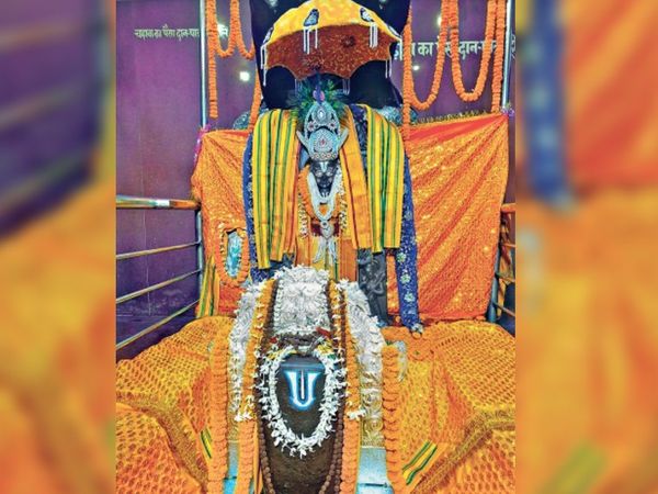 शिवलिंग के आधे भाग में शिव, शेष में विष्णु।