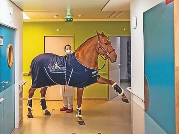 Paye gestures in such a way that he has to go to which patient's room. How long to stay with them. Payo comes to know if the patient has cancer or a tumor. '