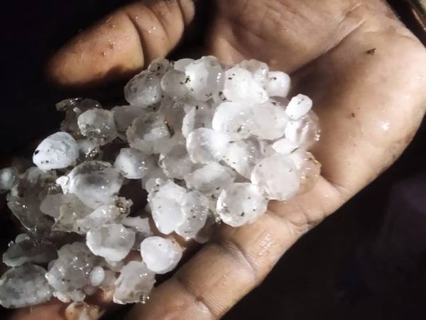 छिंदवाड़ा जिले की अमरवाड़ा तहसील में गिरे ओले।