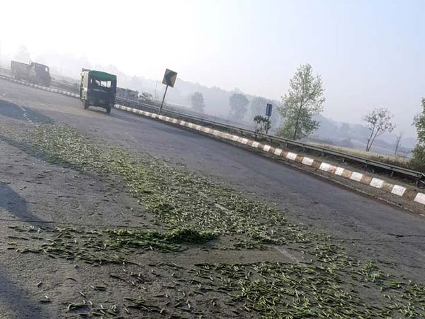 हादसे के बाद सड़क पर बिखरा मटर।