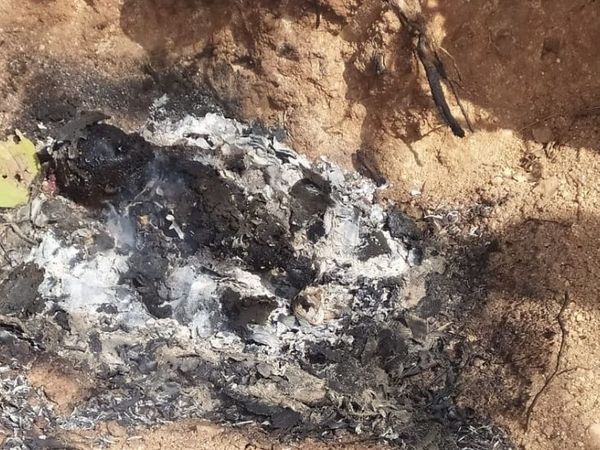 झाड़ी में जला देने के बाद बच्ची का बचा अवशेष