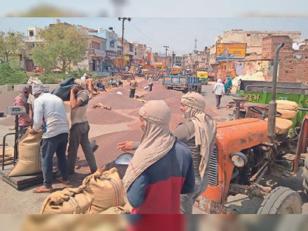 सड़क बनी सरसों मंडी:खराब मौसम की वजह से बढ़ी आवक, समर्थन मूल्य से ज्यादा मिल रहे भाव