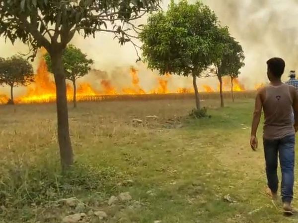 करीब एक दर्जन से भी ज्यादा किसान इस आगजनी की घटना से प्रभावित हुए हैं। - Dainik Bhaskar