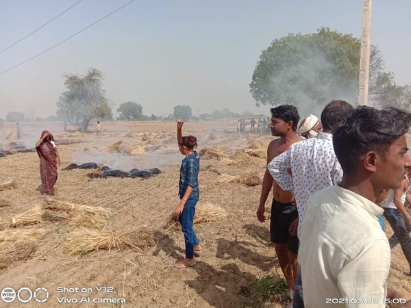 लाइट बंद करवाकर बुझाई आग: हाई वोल्टेज लाइन टूटकर कटी फसल पर गिरी, आग लगने से 20 मन गेहूं जला