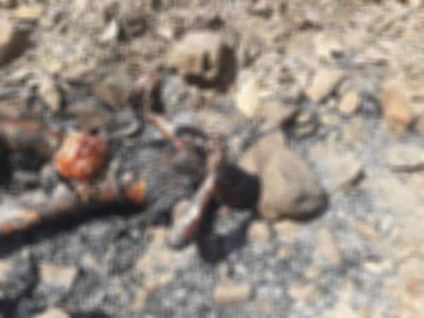युवक की अधजली लाश मिलने से सनसनी, पहचान नहीं।