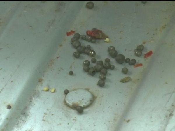 कार से मिले छर्रे, जिसे ये शिकार में इस्तेमाल करते हैं।