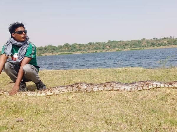 जाल में फंसा अजगर: कोटा में रंगपुर इलाके में चंबल नदी में मछली पकड़ने के जाल में 10 फीट लंबा अजगर फंसा, निगम गोताखोरों ने सुरक्षित रेस्क्यू किया