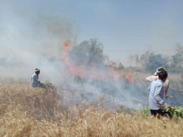 खेत जले, दमकल कर्मी नहीं पहुंचे: बिजली की लाइन से खेत में लगी आग; आसपास काम कर रहे लोगों ने मशक्कत के बाद आग पर काबू पाया