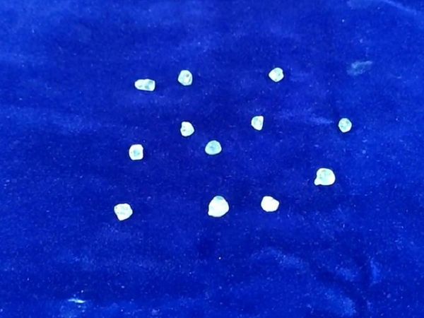 पकड़े गए आरोपी रायपुर में खमतराई के शिवानंद नगर निवासी जितेंद्र शर्मा और सैय्यद जीशान हैं। पुलिस ने जो गाड़ी जब्त की है, उस पर मध्य प्रदेश शासन ऑन ड्यूटी लिखा हुआ था।