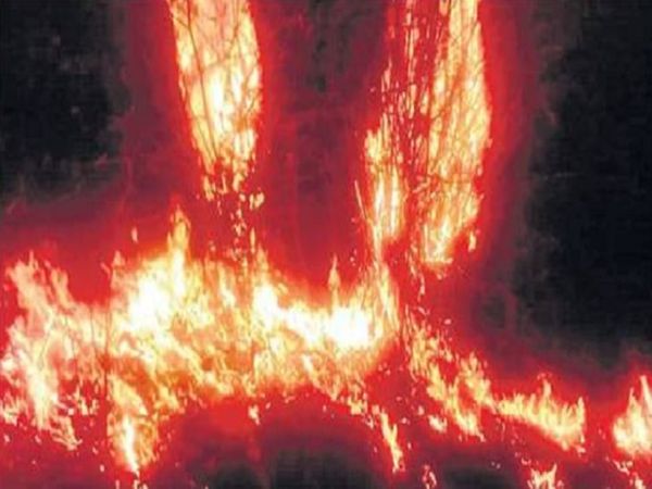 अचानकमार टाइगर रिजर्व (एटीआर) और वन विभाग दोनों अपने क्षेत्र में आग नहीं होने की बात कहकर पल्ला झाड़ रहे हैं।