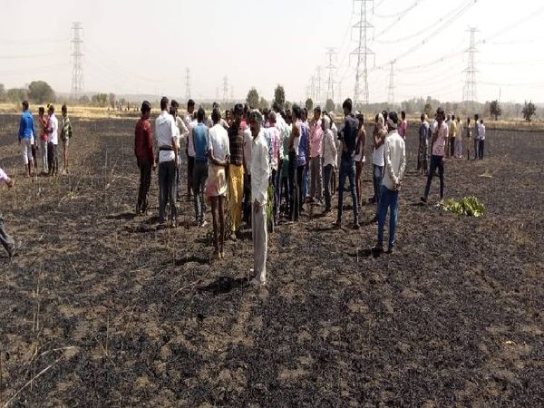 खुलरी गांव के पास गेहूं की फसल खाक।