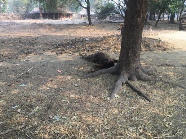 मुठभेड़ में 9 नक्सलियों के भी मारे जाने का दावा किया जा रहा है। इसमें एक महिला नक्सली का शव बरामद कर लिया गया है