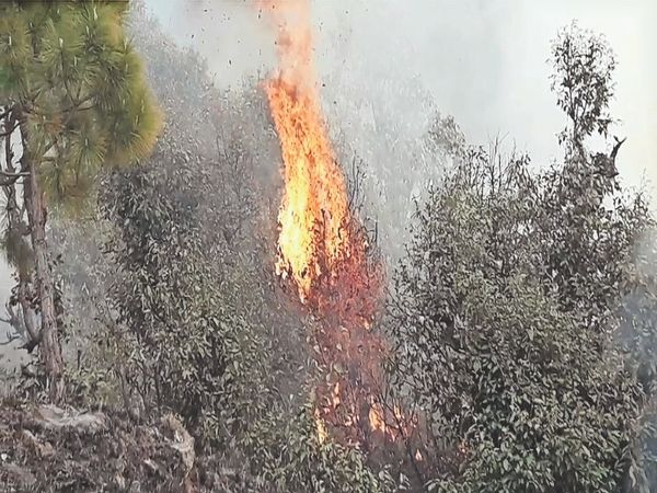 उत्तराखंड के जंगलों में आग बेकाबू हो गई है। स्थिति की गंभीरता को देखते हुए केंद्र ने एनडीआरएफ और हेलीकॉप्टर भेजें हैं। - Dainik Bhaskar