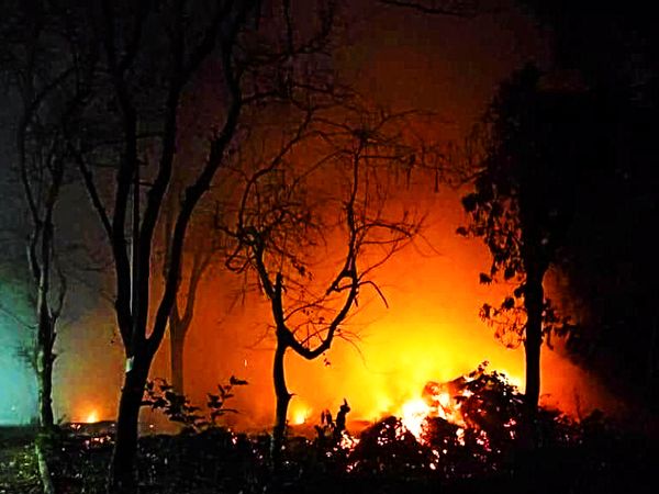 गुलाब बाग से सटे कमल तलाई में लगी आग ने रात होते-होते विकराल रूप ले लिया।