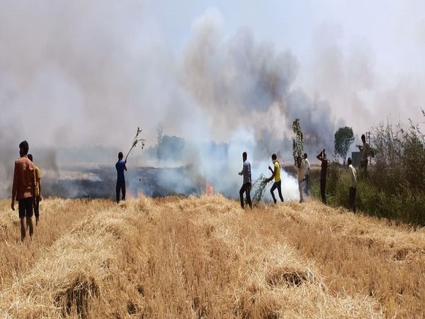 People from three villages of Panipat extinguished fire | पानीपत के तीन गांवों के लोगों ने बुझाई आग, बोले- आग बुझने के बाद पहुंची दमकल की गाड़ी, कारणों का अभी पता नहीं