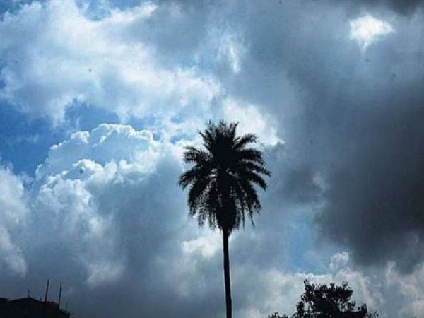 Light rains expected in East Madhya Pradesh in next 48 hours, cloudy and forecast around evening | जबलपुर, मंडला, सतना, शहडोल में अगले 48 घंटे में हल्की बारिश के आसार, राजधानी में भी शाम तक बादल छाने का अनुमान