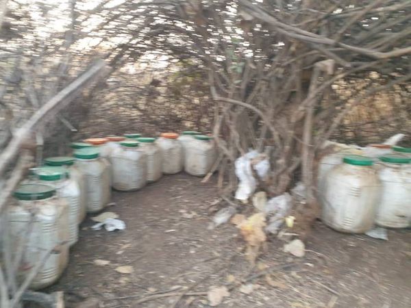 झाड़ियों में डिब्बों में भरकर छिपाया गया था महुआ लाहन।