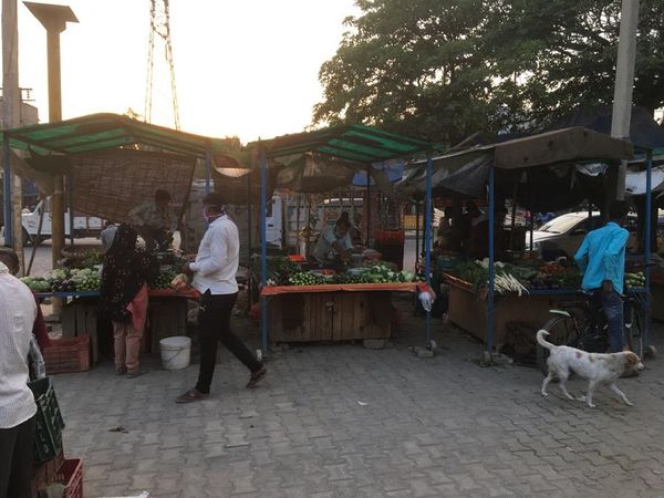 सेक्टर-25 में खुली सब्जी की दुकानें।